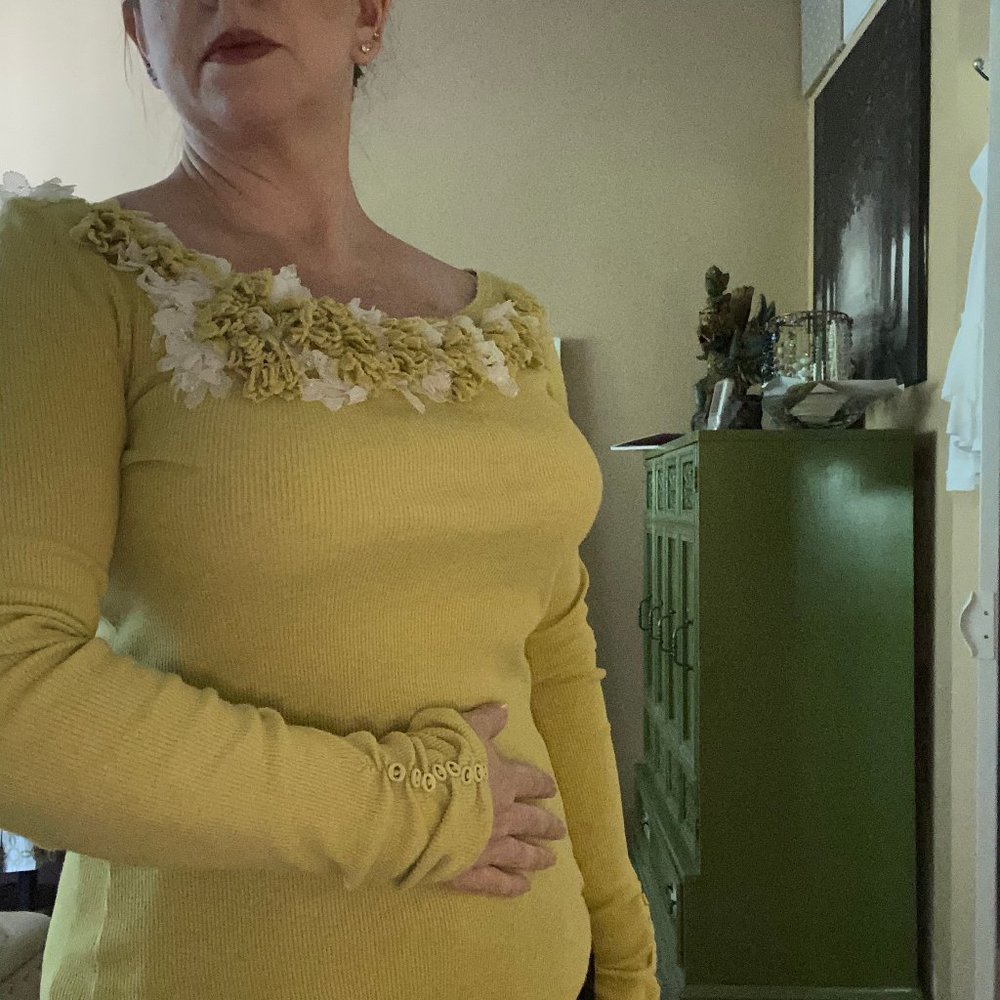 GUC Anthropologie Green Applique Boatneck Top M